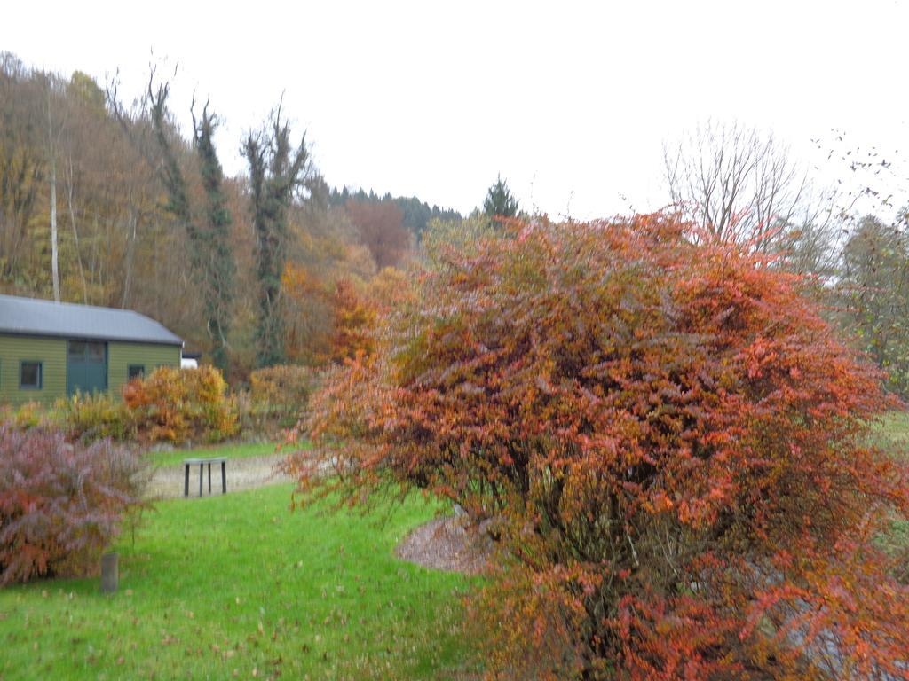 Hotel Gai-Sejour La-Roche-en-Ardenne Kültér fotó