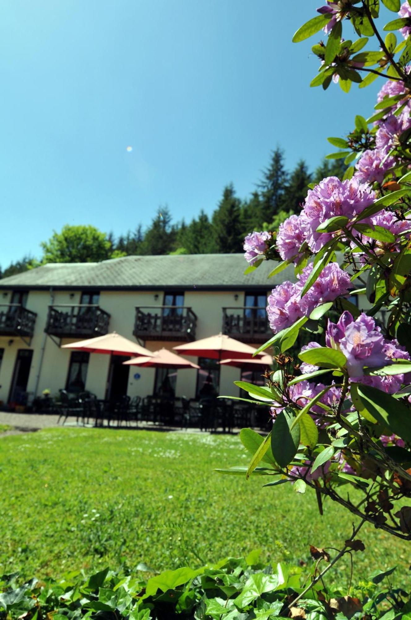 Hotel Gai-Sejour La-Roche-en-Ardenne Kültér fotó